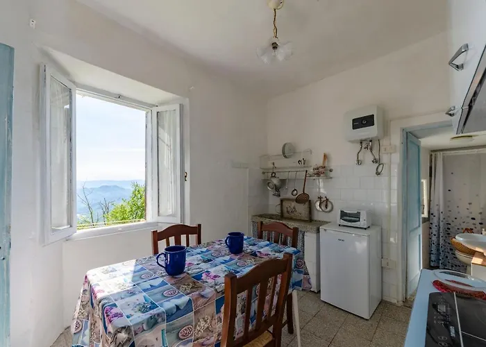 Apartament Bee House *