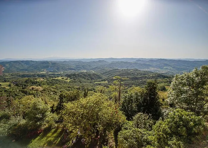 Apartament Bee House